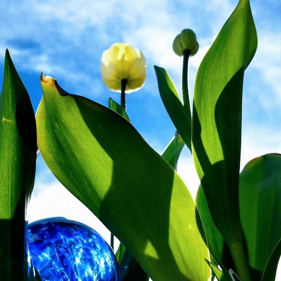 Meet your Posher, Mallory - Picture 2 of 7